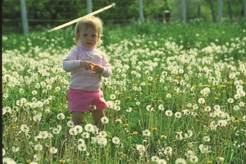 toddler in a flower field