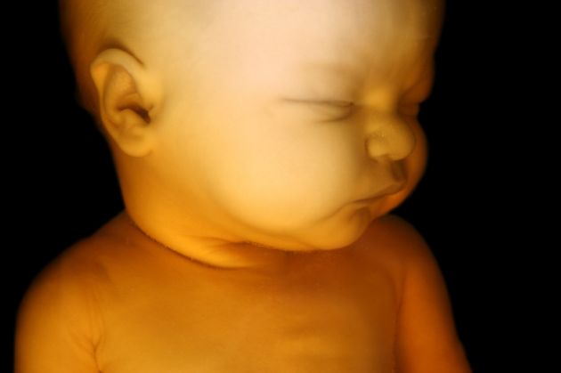 Baby fetus in third trimester