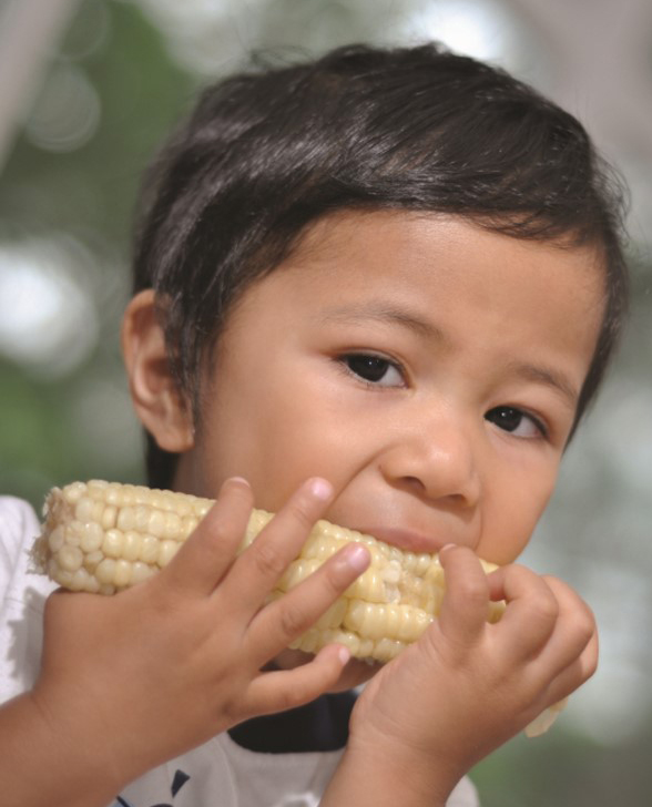 Boy eating corn on the cob