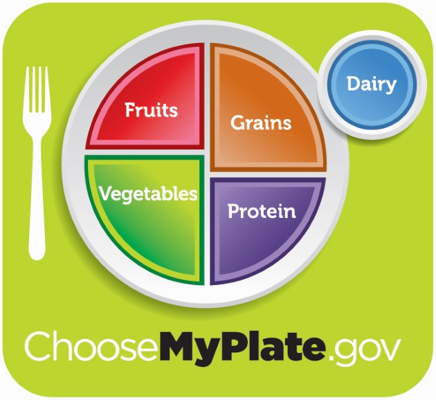 My Plate food group diagram with fruits, vegetables, grains, protein, and dairy
