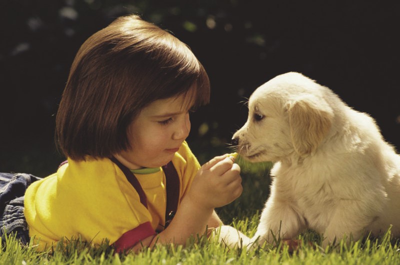 Niña pequeña le ofrece a su perrito(a) una golosina para mascotas mientras se recuestan sobre la hierba/grama/pasto