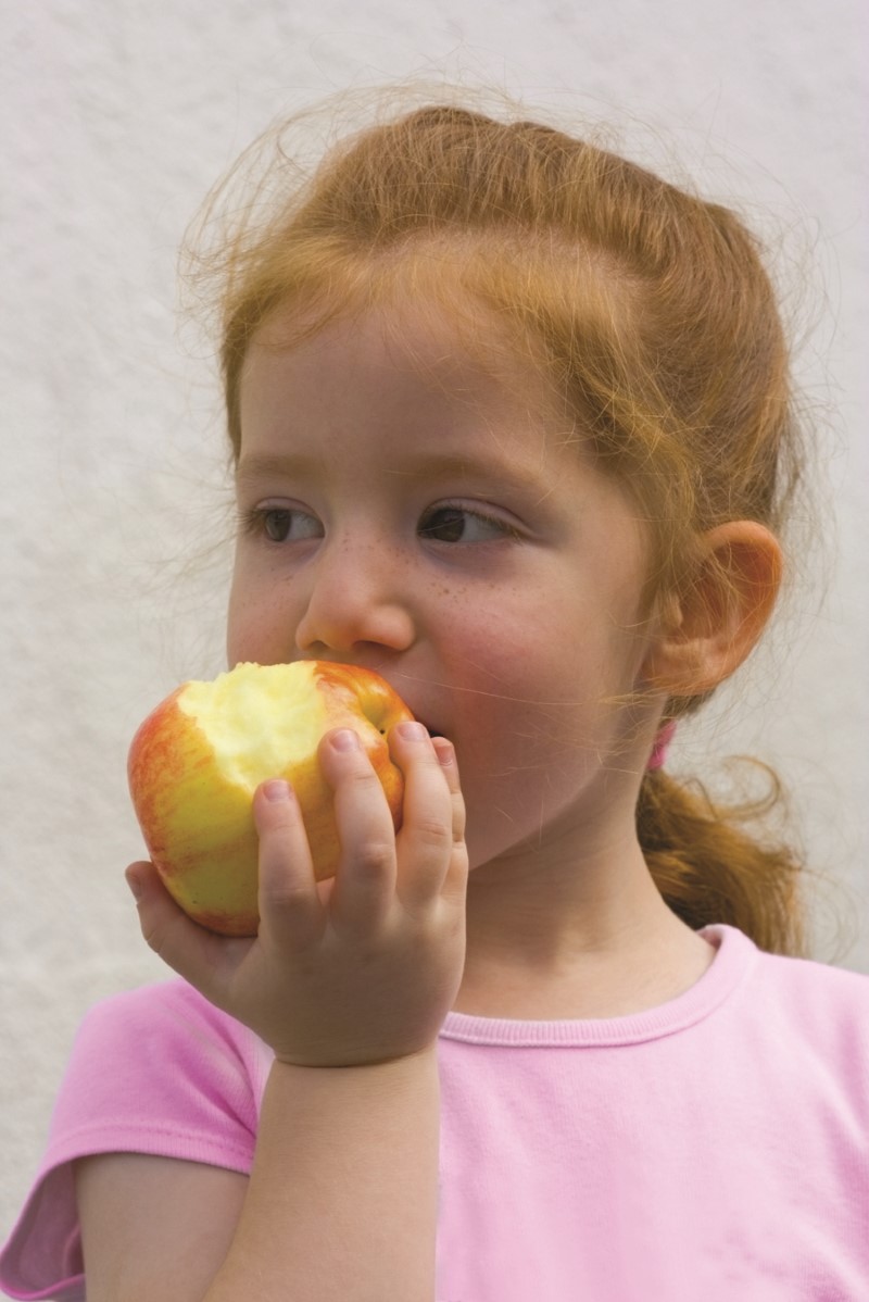 Niña pequeña muerde una manzana roja mientras la sostiene con su mano